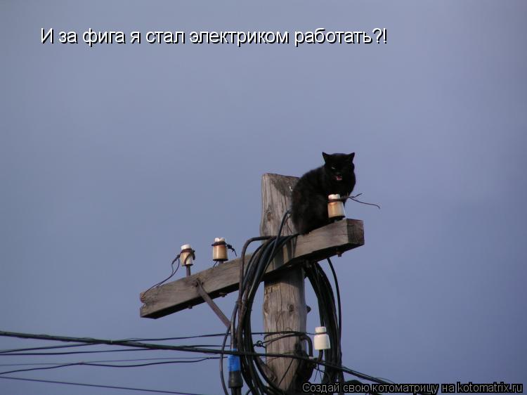 И за фига я стал электриком работать?!... Котоматрица: И за фига я стал электриком работать?!