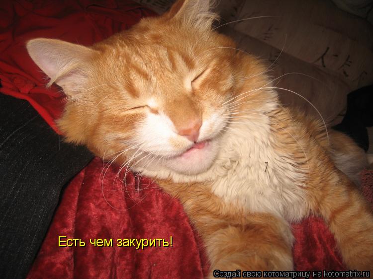 Есть чем закурить!... Котоматрица: Есть чем закурить!