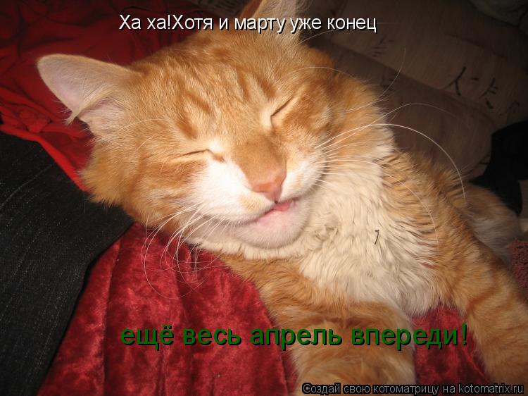 Ха ха!Хотя и марту уже конец ещё весь апрель впереди!... Котоматрица: Ха ха!Хотя и марту уже конец ещё весь апрель впереди!
