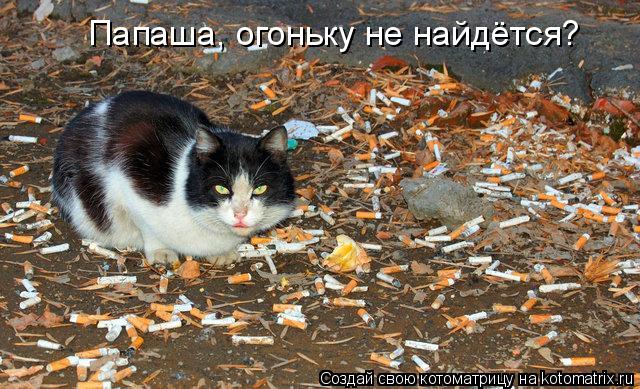 Котоматрица: Папаша, огоньку не найдётся?