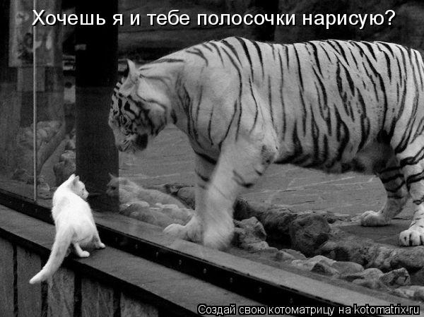 Котоматрица: Хочешь я и тебе полосочки нарисую?