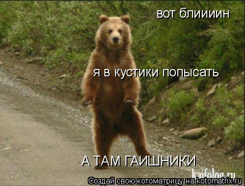 Котоматрица: вот блиииин  я в кустики попысать  А ТАМ ГАИШНИКИ