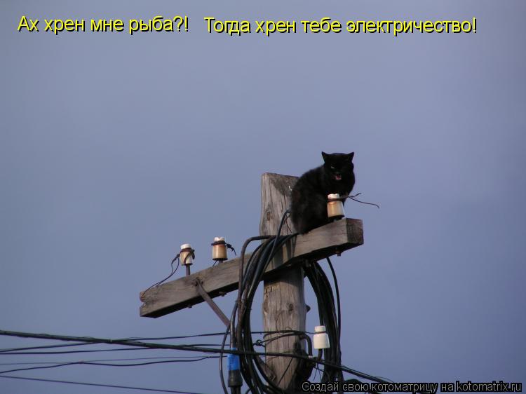 Котоматрица: Ах хрен мне рыба?! Тогда хрен тебе электричество!