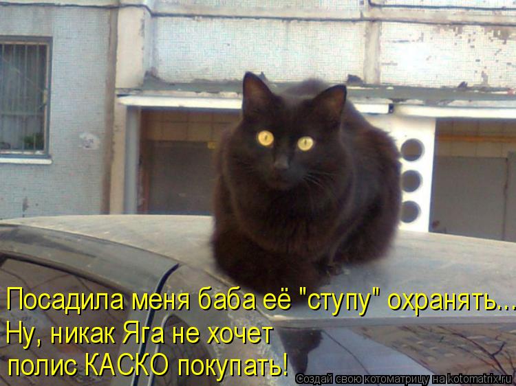 Посадила меня баба её "ступу" охранять..… Ну, никак Яга не хочет полис КАСКО покупать!... Котоматрица: Посадила меня баба её "ступу" охранять..… Ну, никак Яга не хочет полис КАСКО покупать!