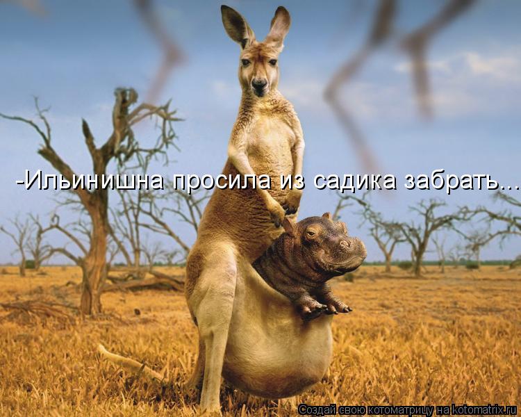 Котоматрица: -Ильинишна просила из садика забрать...