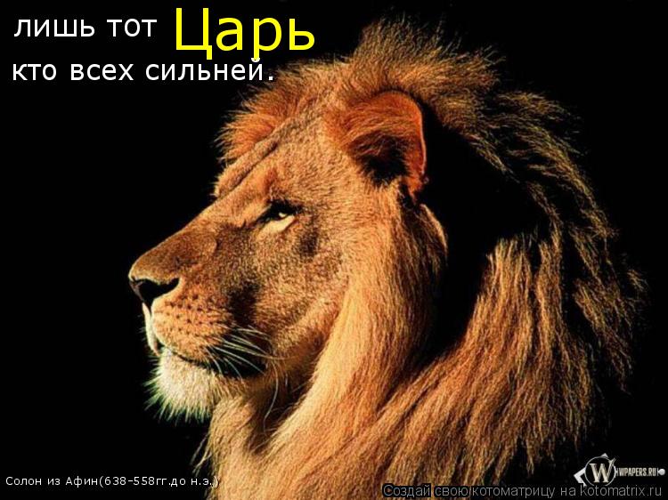 Котоматрица: лишь тот Царь кто всех сильней. Солон из Афин(638-558гг.до н.э.)