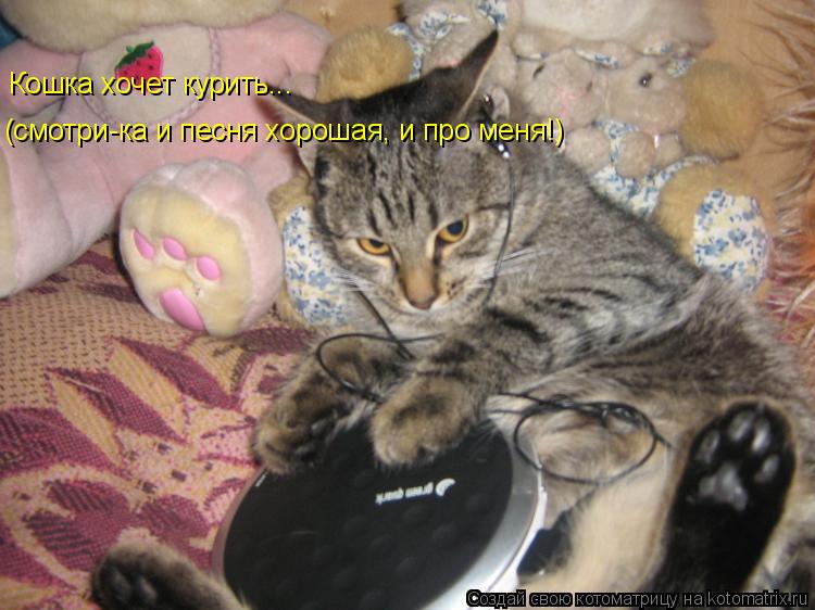 Котоматрица: (смотри-ка и песня хорошая, и про меня!) Кошка хочет курить...