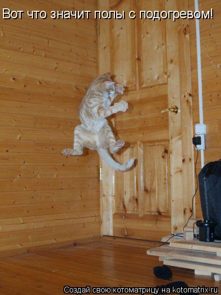 Котоматрица: Вот что значит полы с подогревом!