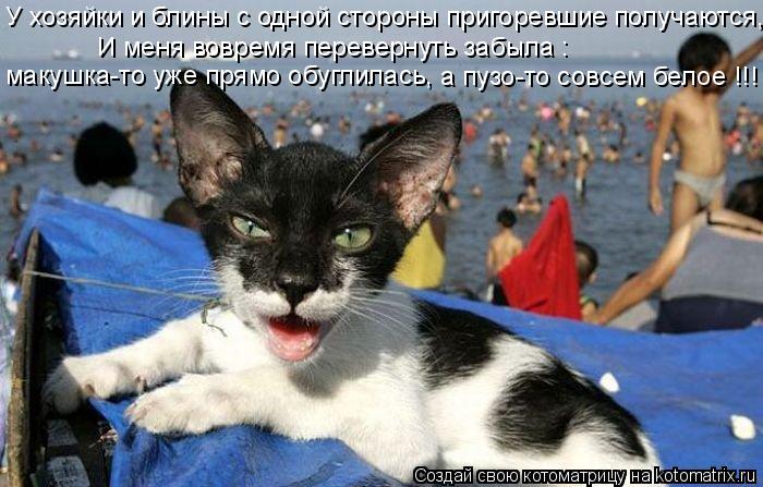 Котоматрица: макушка-то уже прямо обуглилась, И меня вовремя перевернуть забыла : У хозяйки и блины с одной стороны пригоревшие получаются, а пузо-то сов