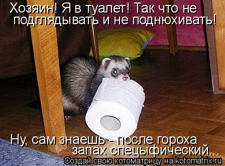 Котоматрица: Хозяин! Я в туалет! Так что не подглядывать и не поднюхивать! Ну, сам знаешь - после гороха запах спецыфический...