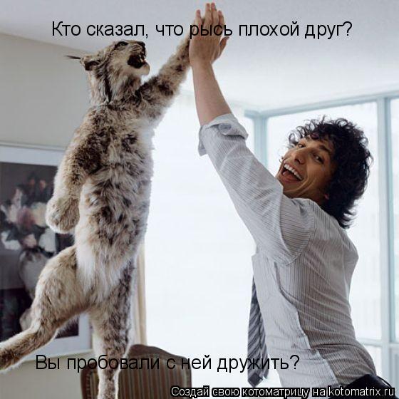 Котоматрица: Кто сказал, что рысь плохой друг? Вы пробовали с ней дружить?