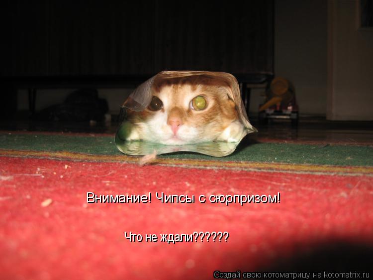 Котоматрица: Внимание! Чипсы с сюрпризом!           Что не ждали??????