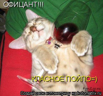 Котоматрица: КЛАСНОЕ ПОЙЛО=) ОФИЦАНТ!!!