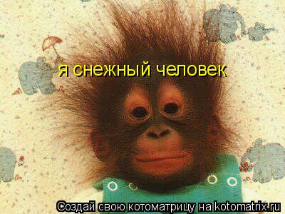 Котоматрица: я снежный человек