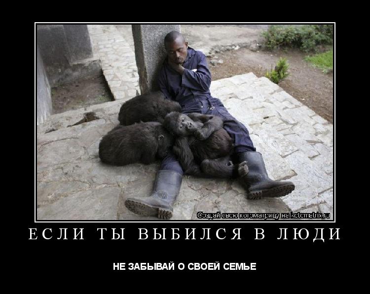 Котоматрица: ЕСЛИ ТЫ ВЫБИЛСЯ В ЛЮДИ НЕ ЗАБЫВАЙ О СВОЕЙ СЕМЬЕ