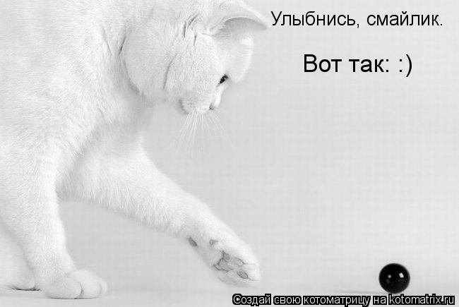Котоматрица: Улыбнись, смайлик.  Вот так: :)