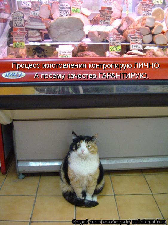 Котоматрица: Процесс изготовления контролирую ЛИЧНО. А посему качество ГАРАНТИРУЮ.