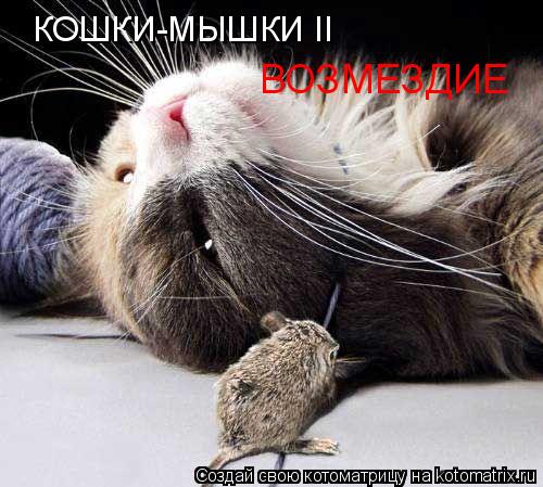 Котоматрица: КОШКИ-МЫШКИ II ВОЗМЕЗДИЕ