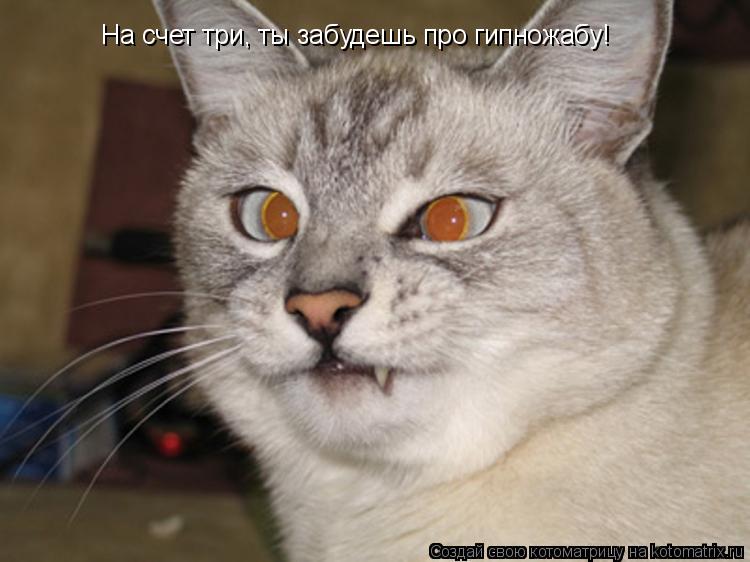 На счет три, ты забудешь про гипножабу!... Котоматрица: На счет три, ты забудешь про гипножабу!