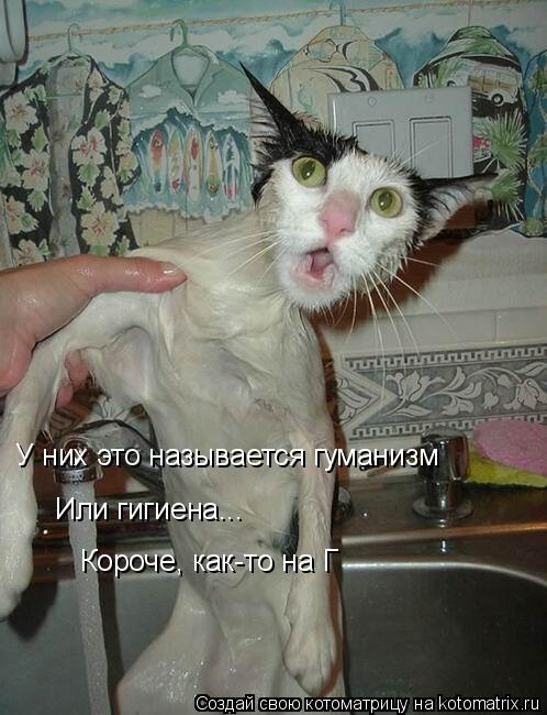 У них это называется гуманизм Или гигиена... Короче, как-то на Г... Котоматрица: У них это называется гуманизм Или гигиена... Короче, как-то на Г