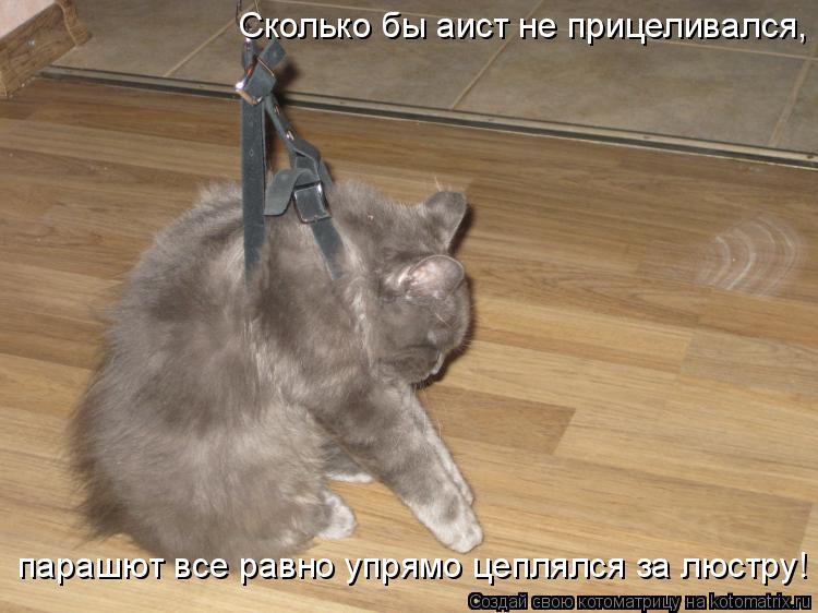 Сколько бы аист не прицеливался, парашют все равно упрямо цеплялся за люстру!... Котоматрица: Сколько бы аист не прицеливался, парашют все равно упрямо цеплялся за люстру!