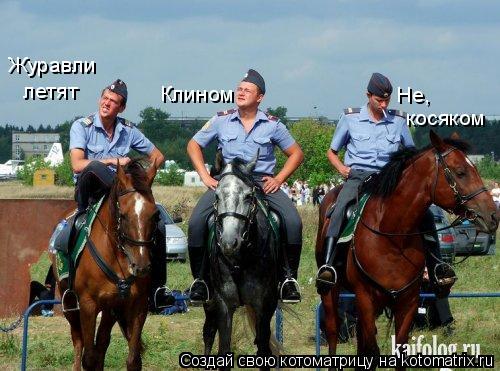 Журавли летят Клином Не, косяком... Котоматрица: Журавли летят Клином Не, косяком