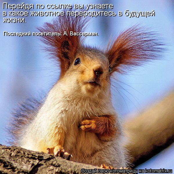 Перейдя по ссылке вы узнаете в какое животное переродитесь в будущей жизни. Последний посетитель: А.... Котоматрица: Перейдя по ссылке вы узнаете в какое животное переродитесь в будущей жизни. Последний посетитель: А. Вассерман.