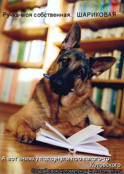 Ручка-моя собственная. ШАРИКОВАЯ А вот книжку подсунули про какого-то Котовского... Котоматрица: Ручка-моя собственная. ШАРИКОВАЯ А вот книжку подсунули про какого-то Котовского
