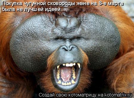 Покупка чугунной сковороды жене на 8-е марта была не лучшей идеей...... Котоматрица: Покупка чугунной сковороды жене на 8-е марта была не лучшей идеей...