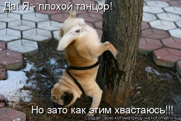Да! Я - плохой танцор! Но зато как этим хвастаюсь!!!... Котоматрица: Да! Я - плохой танцор! Но зато как этим хвастаюсь!!!
