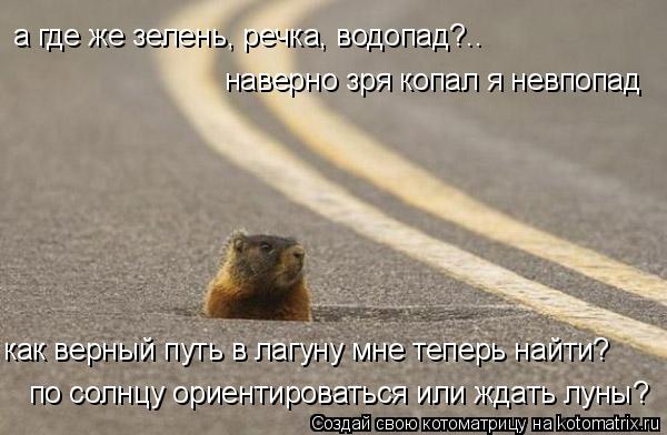 по солнцу ориентироваться или ждать луны? а где же зелень, речка, водопад?.. наверно зря копал я невп... Котоматрица: по солнцу ориентироваться или ждать луны? а где же зелень, речка, водопад?.. наверно зря копал я невпопад как верный путь в лагуну мне теперь