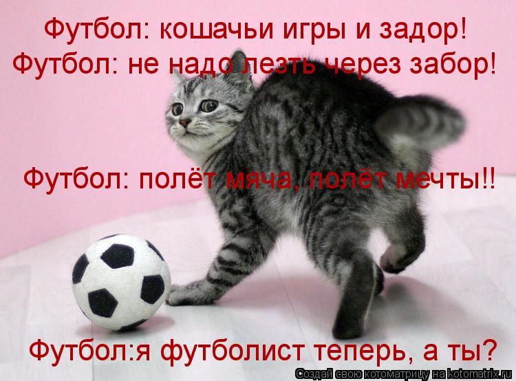Футбол: кошачьи игры и задор! Футбол: не надо лезть через забор! Футбол: полёт мяча, полёт мечты!! Фу... Котоматрица: Футбол: кошачьи игры и задор! Футбол: не надо лезть через забор! Футбол: полёт мяча, полёт мечты!! Футбол:я футболист теперь, а ты?