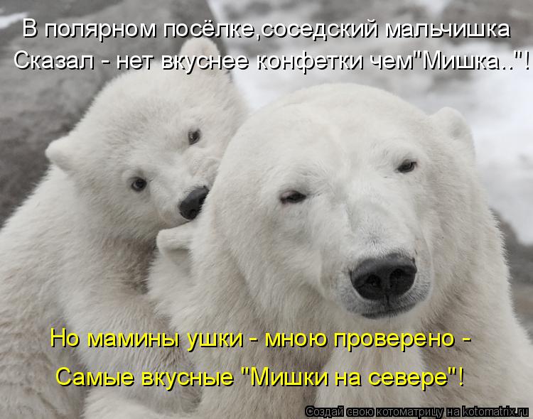 В полярном посёлке,соседский мальчишка Сказал - нет вкуснее конфетки чем"Мишка.."! Но мамины ушки - м... Котоматрица: В полярном посёлке,соседский мальчишка Сказал - нет вкуснее конфетки чем"Мишка.."! Но мамины ушки - мною проверено - Самые вкусные "Мишки на се