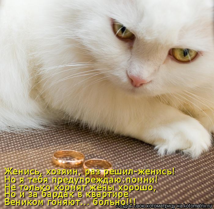 Котоматрица: Женись, хозяин, раз решил-женись! Но я тебя предупреждаю:помни! Не только кормят жёны хорошо, Но и за бардак в квартире  Веником гоняют... боль