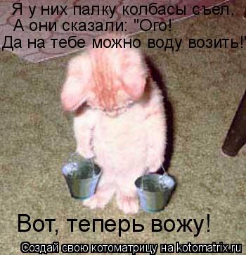 Котоматрица: Я у них палку колбасы съел. А они сказали: "Ого! Да на тебе можно воду возить!" Вот, теперь вожу!