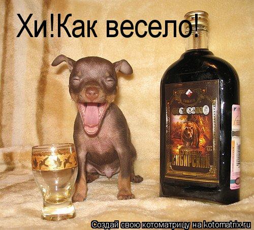 Котоматрица: Хи!Как весело!