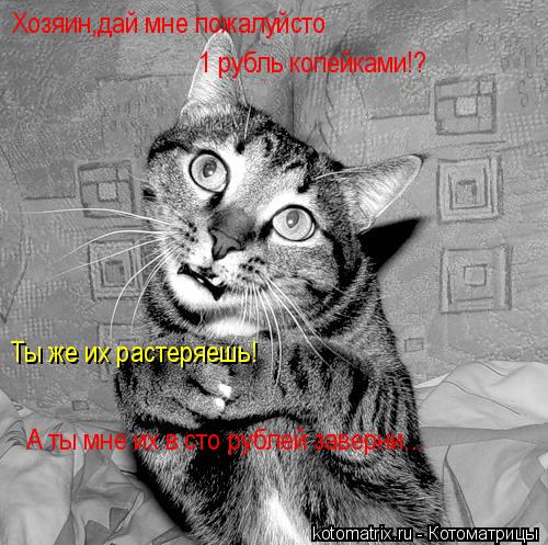 Котоматрица: Хозяин,дай мне пожалуйсто 1 рубль копейками!? Ты же их растеряешь! А ты мне их в сто рублей заверни...