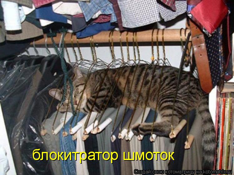 блокитратор шмоток... Котоматрица: блокитратор шмоток