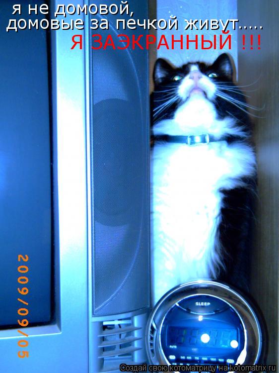 я не домовой домовые за печкой живут Я ЗАЭКРАННЫЙ !!! , ........ Котоматрица: я не домовой домовые за печкой живут Я ЗАЭКРАННЫЙ !!! , .....