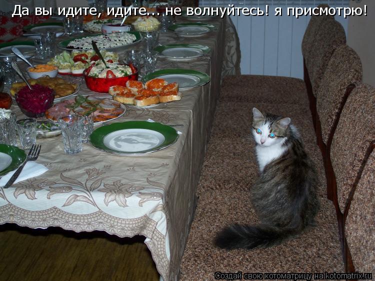Да вы идите, идите... я присмотрю за едой... Да вы идите, идите... не волнуйтесь! я присмотрю!... Котоматрица: Да вы идите, идите... я присмотрю за едой... Да вы идите, идите... не волнуйтесь! я присмотрю!