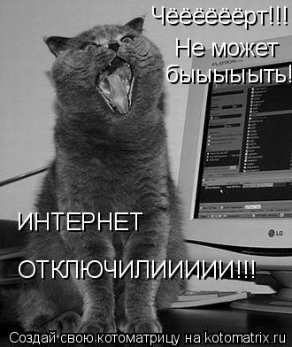 Чёёёёёёрт!!! Не может быыыыыть! ИНТЕРНЕТ ОТКЛЮЧИЛИИИИИ!!!... Котоматрица: Чёёёёёёрт!!! Не может быыыыыть! ИНТЕРНЕТ ОТКЛЮЧИЛИИИИИ!!!