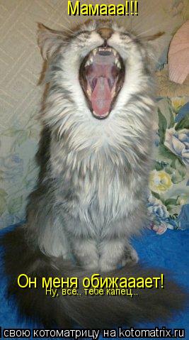 Мамааа!!! Он меня обижааает! Ну, всё.. тебе капец...... Котоматрица: Мамааа!!! Он меня обижааает! Ну, всё.. тебе капец...