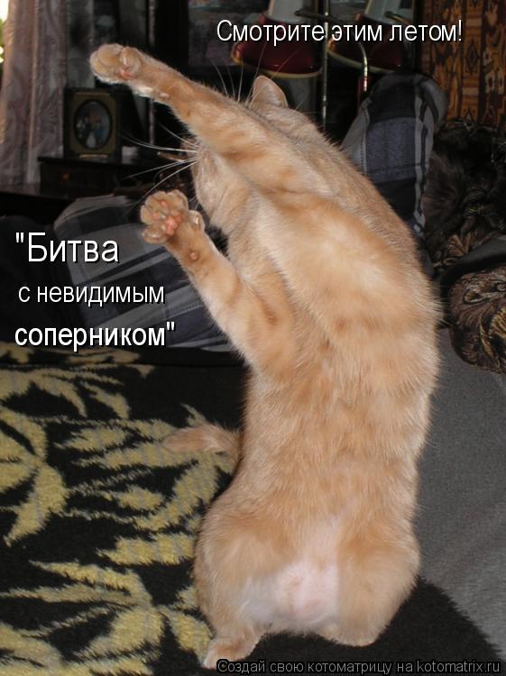 Смотрите этим летом! "Битва с невидимым соперником"... Котоматрица: Смотрите этим летом! "Битва с невидимым соперником"