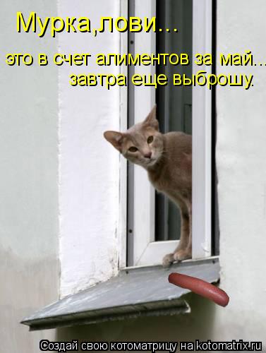 Котоматрица: Мурка,лови... это в счет алиментов за май... завтра еще выброшу.
