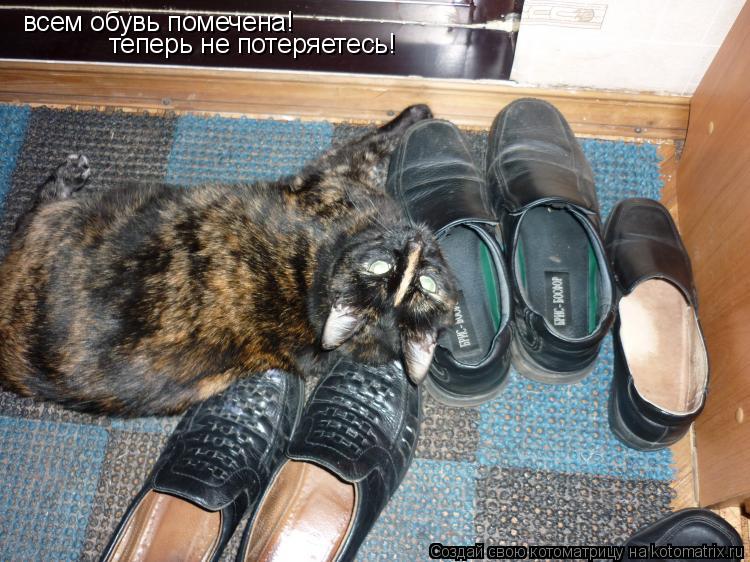 всем обувь помечена! теперь не потеряетесь!... Котоматрица: всем обувь помечена! теперь не потеряетесь!
