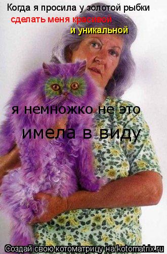 Когда я просила у золотой рыбки сделать меня красивой и уникальной я немножко не это имела в виду... Котоматрица: Когда я просила у золотой рыбки сделать меня красивой и уникальной я немножко не это имела в виду