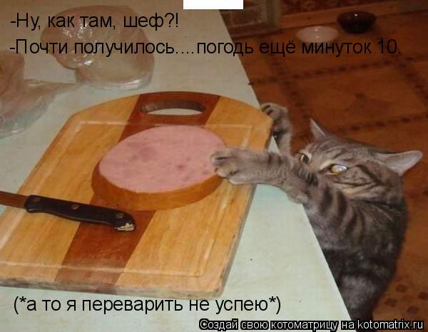 -Ну, как там, шеф?! -Почти получилось....погодь ещё минуток 10. (*а то я переварить не успею*)... Котоматрица: -Ну, как там, шеф?! -Почти получилось....погодь ещё минуток 10. (*а то я переварить не успею*)