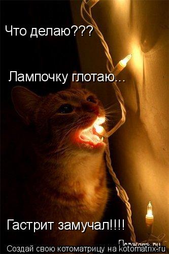 Что делаю??? Лампочку глотаю... Гастрит замучал!!!!... Котоматрица: Что делаю??? Лампочку глотаю... Гастрит замучал!!!!