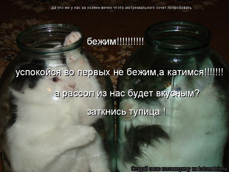 да что же у нас за хозяин вечно чтото экстремального хочет попробовать бежим!!!!!!!!!! успокойся во п... Котоматрица: да что же у нас за хозяин вечно чтото экстремального хочет попробовать бежим!!!!!!!!!! успокойся во первых не бежим,а катимся!!!!!!! а рассол из на