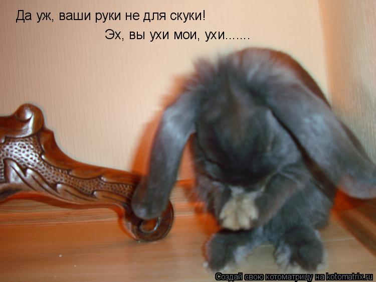 Да уж, ваши руки не для скуки! Да уж, ваши руки не для скуки! Эх, вы ухи мои, ухи.......... Котоматрица: Да уж, ваши руки не для скуки! Да уж, ваши руки не для скуки! Эх, вы ухи мои, ухи.......